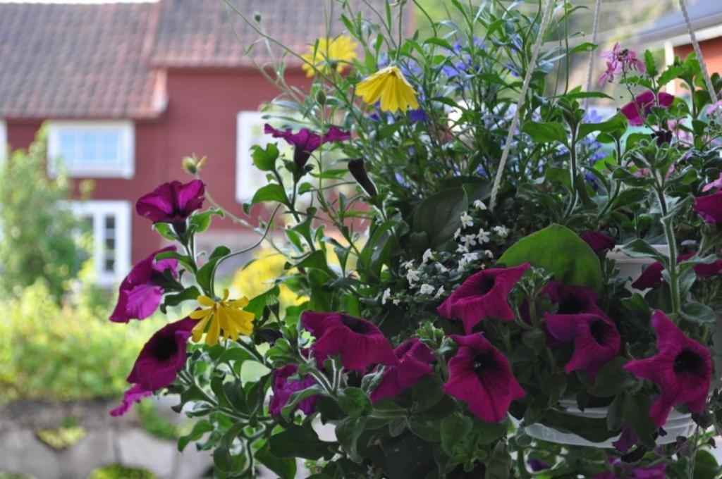 Vandrarhemmet Tallbacka/Aengelsberg Hostel Angelsberg Zewnętrze zdjęcie