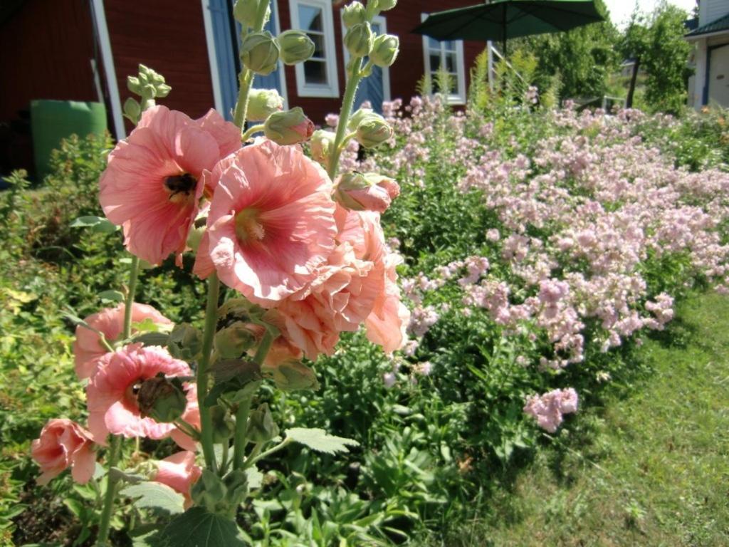 Vandrarhemmet Tallbacka/Aengelsberg Hostel Angelsberg Zewnętrze zdjęcie